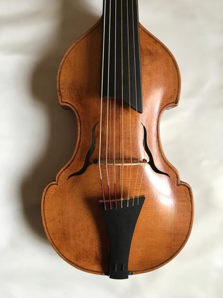 La viola d'amore: strumento versatile e dal fascino storico viola damore