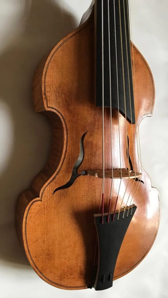 La viola d'amore: strumento versatile e dal fascino storico viola damore prezzo