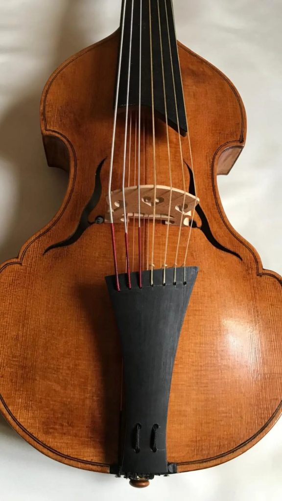 La viola d'amore: strumento versatile e dal fascino storico viola damore strumento 1