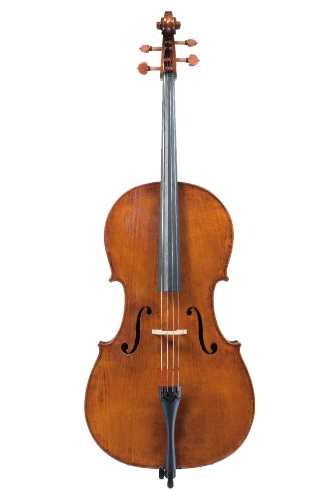 violoncello liuteria yael rosenblum